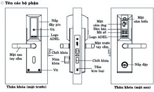 ban-ve-lap-dat-khoa-cua-van-tay