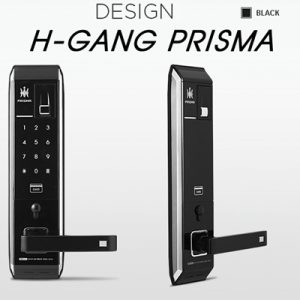 Hgang Prisma F901K