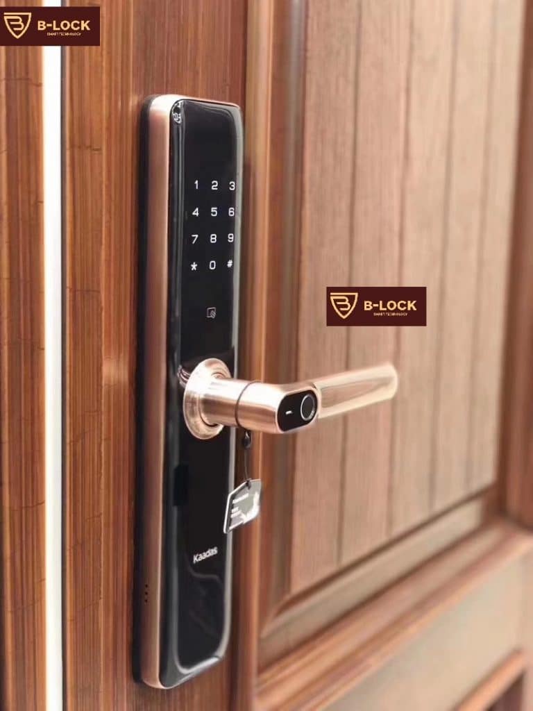 khóa điện tử mở cửa bằng vân tay cửa gỗ